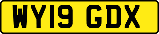 WY19GDX