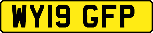 WY19GFP
