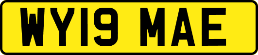 WY19MAE