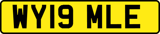 WY19MLE