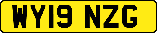 WY19NZG