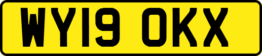 WY19OKX