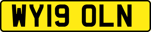 WY19OLN