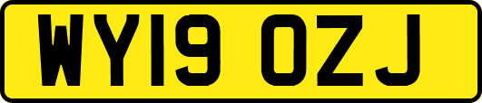 WY19OZJ