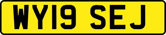 WY19SEJ