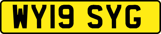 WY19SYG