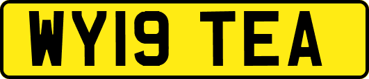 WY19TEA