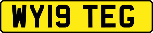 WY19TEG