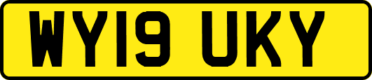 WY19UKY