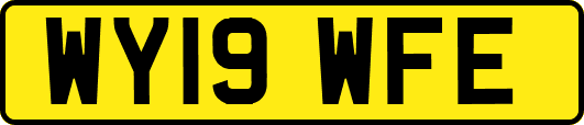 WY19WFE