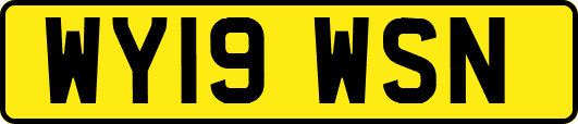 WY19WSN