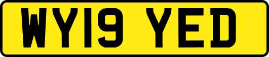 WY19YED