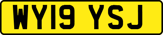 WY19YSJ