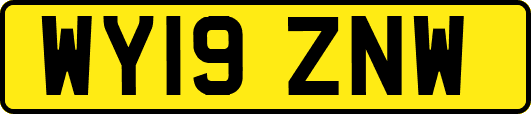 WY19ZNW