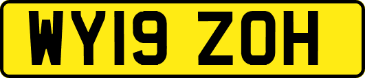 WY19ZOH