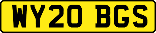 WY20BGS