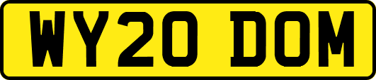 WY20DOM