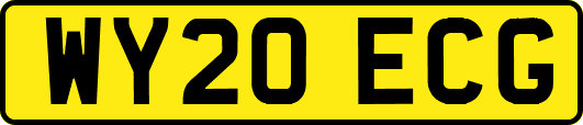 WY20ECG