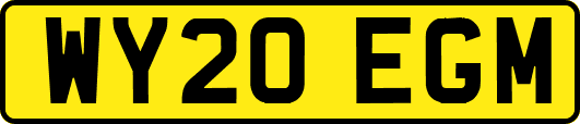 WY20EGM