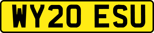 WY20ESU