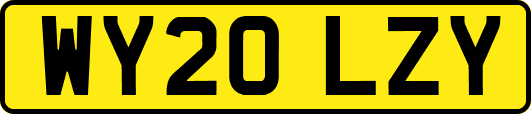 WY20LZY