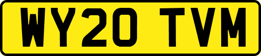 WY20TVM