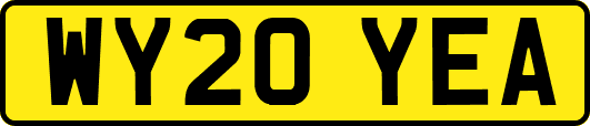 WY20YEA