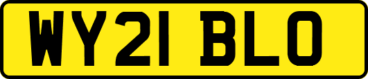 WY21BLO