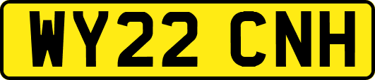 WY22CNH