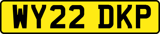 WY22DKP