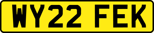 WY22FEK