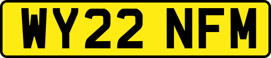 WY22NFM