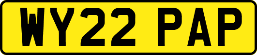 WY22PAP