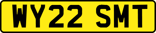 WY22SMT