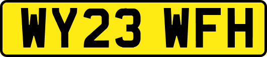 WY23WFH