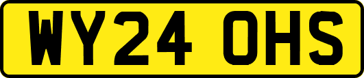 WY24OHS