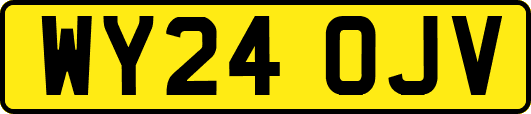 WY24OJV