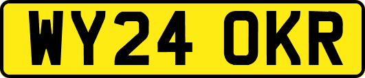 WY24OKR