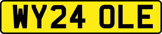 WY24OLE