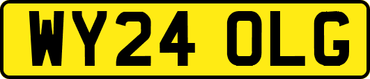 WY24OLG