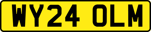 WY24OLM