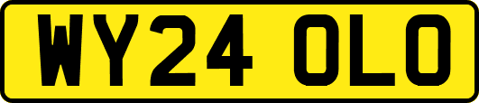 WY24OLO