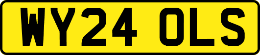 WY24OLS