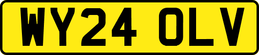 WY24OLV
