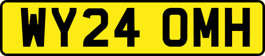 WY24OMH