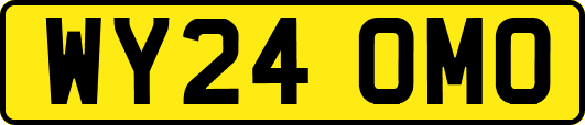WY24OMO