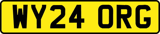 WY24ORG