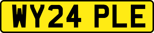 WY24PLE