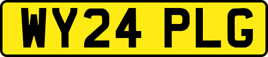WY24PLG