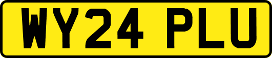 WY24PLU